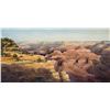 Image 1 : Spike Ress | Morning Shadows in the Grand Canyon