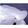 Image 2 : Bird Auto Mascot Radiator Cap