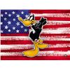 Image 2 : Warner Brothers Hologram Daffy with Flag