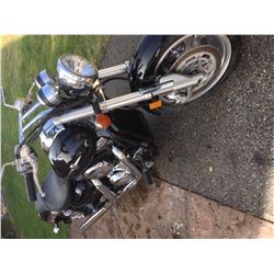 2007 Kawasaki Mean Streak 1600
