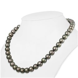 Dark Green and Peacock True Round Tahitian Pearl Necklace, 18"es, 9.0-9.9mm, AAA Quality