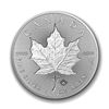 Image 1 : 2019 Canada 1 oz Silver Incuse Maple Leaf BU