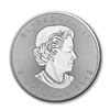 Image 2 : 2019 Canada 1 oz Silver Incuse Maple Leaf BU