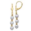 Image 1 : 14k Yellow Gold Grey Semi-round Pearl Leverback Earrings - 5-6 mm