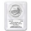 Image 2 : 2019-W 1 oz Platinum Eagle PR-70 PCGS (FirstStrike?, Black Label)