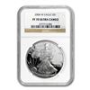 Image 1 : 2004-W Proof Silver American Eagle PF-70 NGC