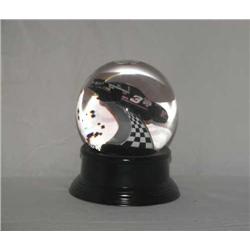 Dale Earnhardt collectible water globe