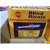 Image 2 : 2000 BLIND RIVETS