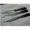 Image 2 : SET OF THROWING KNIVES