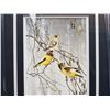 Image 2 : ROBERT BATEMAN " EVENING GROSBEAKS"