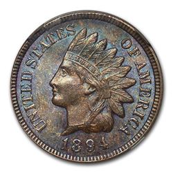1894 Indian Head Cent MS-64 NGC (Brown)