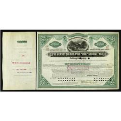 $10,000 Railway Bond signed by 3 Vanderbilts! Jersey Shore, Pine Creek and Buffalo Railway Co. $10,0