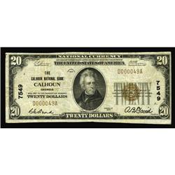 Calhoun, GA - $20 1929 Ty. 1 The Calhoun NB Ch. # 7549N Calhoun, GA