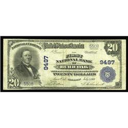 Burr Oak, MI - $20 1902 Plain Back Fr. 652 The First NB Burr Oak, MI