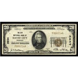David City, NE - $20 1929 Ty. 1 The City NB Ch. # 3934O David City, NE