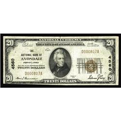 Avondale, PA - $20 1929 Ty. 1 The NB Ch. # 4560 Avondale, PA