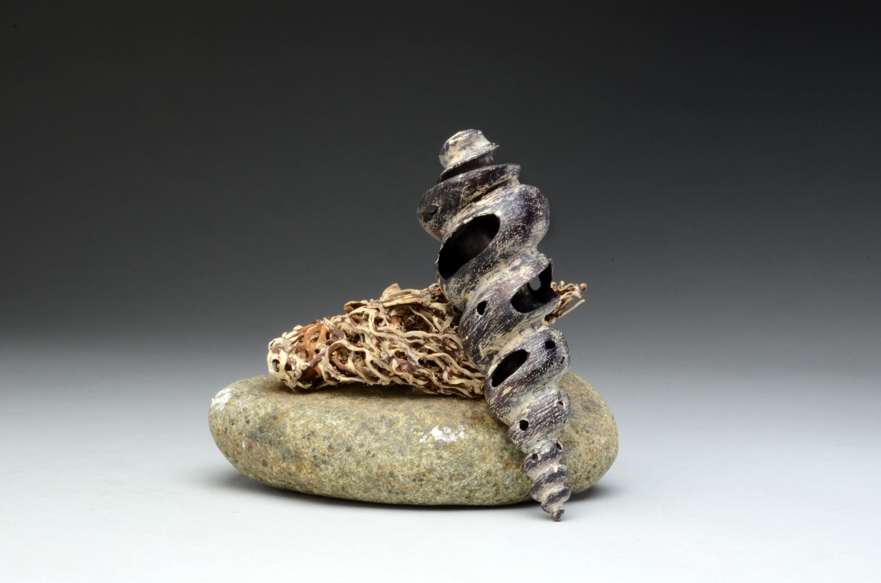 Rick Crawford | Shell Fragment Series #21