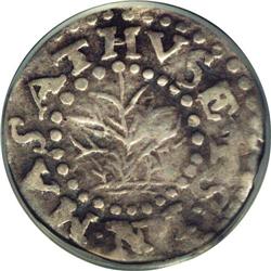 1662 Oak Tree Twopence VF20 PCGS. Small 2. Breen-35. No 1662 Oak Tree Twopence VF20 PCGS.