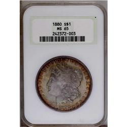 1880 S$1 MS65 NGC. Reddish-gold toning around the peri
