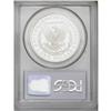 Image 2 : 1881-CC S$1 MS66 PCGS. Silver-gray surfaces display tr