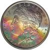 Image 1 : 1886 S$1 MS63 S NGC. Incredible rainbow toning progre