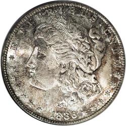 1886-S S$1 MS65 PCGS. Toned with mottled gold and tan.