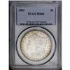 1902 S$1 MS66 PCGS. Light greenish-gold patina occupie