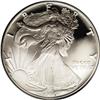 Image 1 : 1995-W S$1 Silver Eagle PR69 Deep Cameo PCGS. Essentia 1995-W[img border='0' src='http://www.heritag