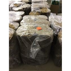 Facto Energy Logs 6-Pack