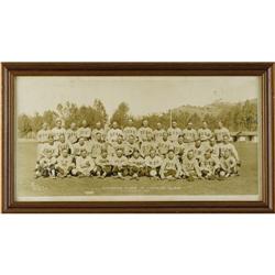 1923 Chicago Cubs Panoramic Photograph 