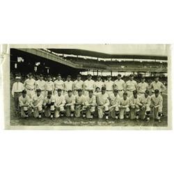 1930 Washington Senators Large Photograph 