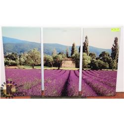 (TRIPTYCH) 3 CANVAS PICTURE OF LAVENDER FIELDS