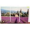 Image 1 : (TRIPTYCH) 3 CANVAS PICTURE OF LAVENDER FIELDS