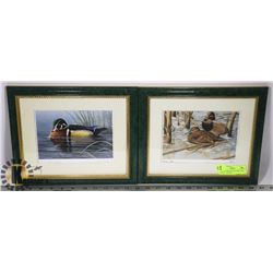 PAIR OF ARTIST SIGNED MALLARD PRINTS - FRAMED
