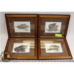 4 FRAMED WILD ANIMALS PRINTS