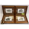 Image 1 : 4 FRAMED WILD ANIMALS PRINTS