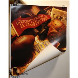 LARGE HIGH QUALITY POSTER / PRINT #8