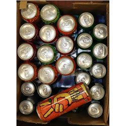 BOX OF GINGER ALE, PEACE TEAS, RED BULLS & MORE