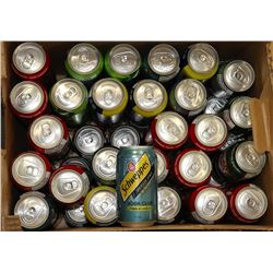 BOX OF ASSORTED CANNED POP, COKE, GINGERALE,