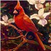 Image 2 : Cardinal by Bull, Simon