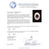 Image 5 : 6.30 ctw Sapphire and Diamond Ring - 18KT White Gold