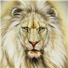Image 2 : White Lion by Katon, Martin