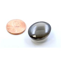 24.78ct Oval Shape MoonStone