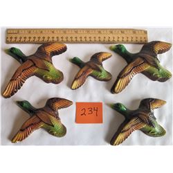 5 DUCK WQALL HANGINGS