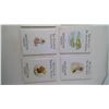 Image 2 : BEATRIX POTTER SERIES BOOKS 1-10