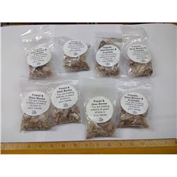 EIGHT KIDS FOSSIL SURPRISE BAGS