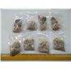 Image 2 : EIGHT KIDS FOSSIL SURPRISE BAGS