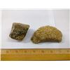 Image 2 : TWO FOSSIL SPONGES