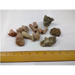 LOT OF ASSORTED FOSSILS