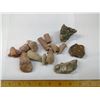Image 2 : LOT OF ASSORTED FOSSILS